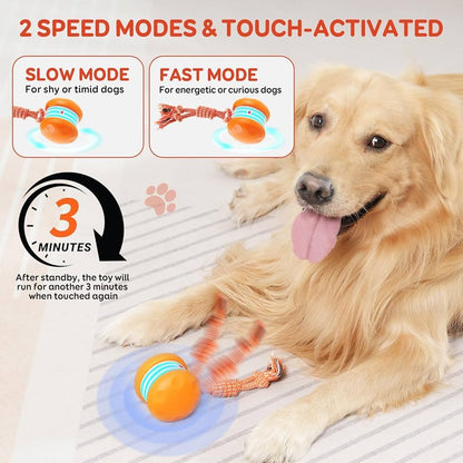 Pet Toy Wheels With Rope – Keep Your Pet Relaxed, Happy & Content for Cat & Dog
