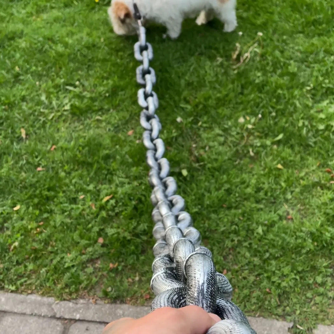 The Chain Paws - 2026 Funniest Pet Chain