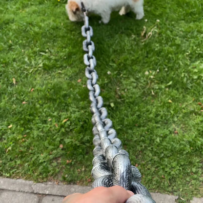 The Chain Paws - 2026 Funniest Pet Chain