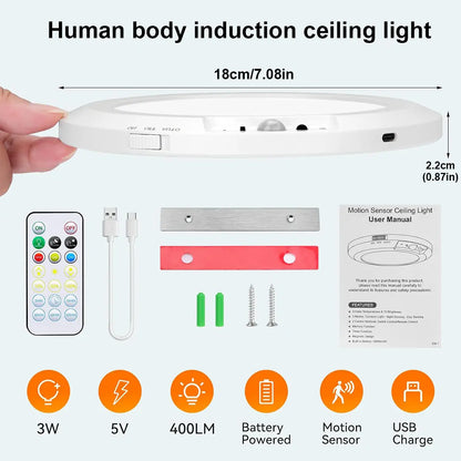 Magnetic Wireless Ceiling Light