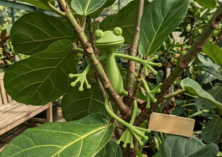 Multifunctional Bendable Frog Plant Clips