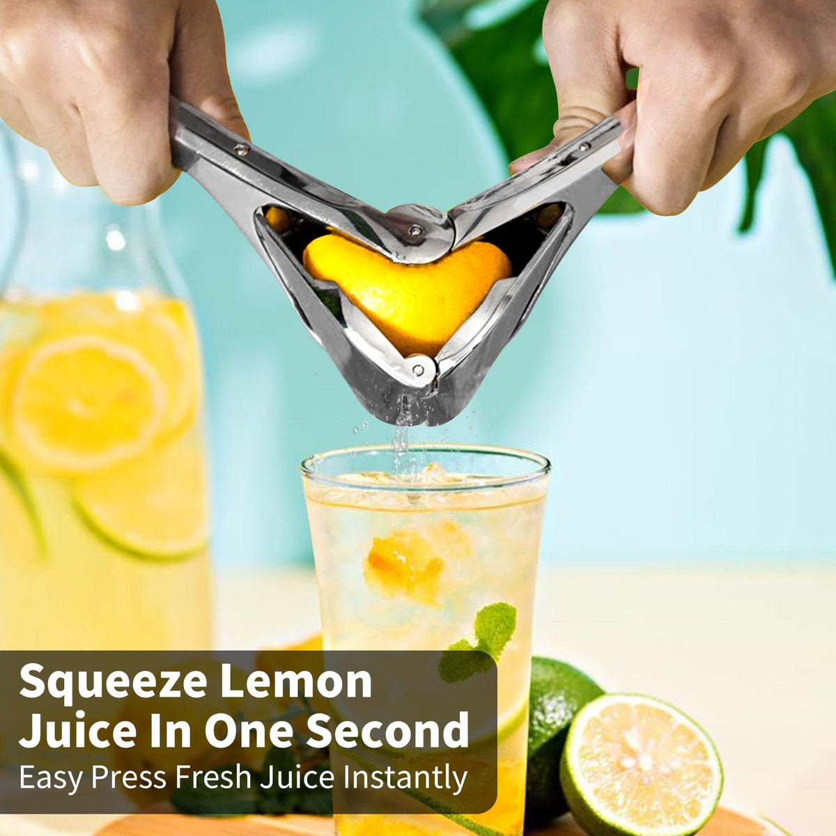 Citrus Squeezer | Stainless Steel or PP