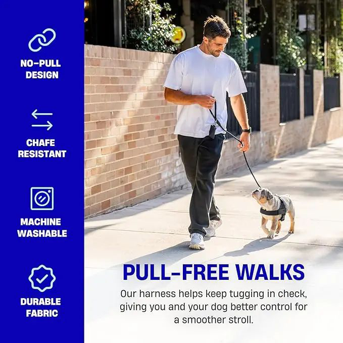 Adjustable No-Pull Dog Harness, Lightweight Comfort Harness for All Dogs