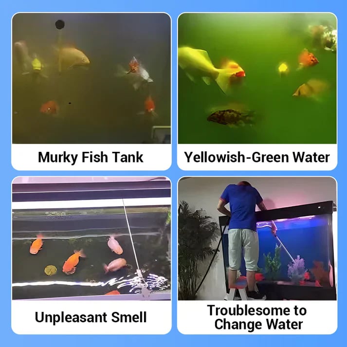 2026 HOT SALE Fish Tank Purification Tablets – Clears Cloudy Water & Reduces Algae Fast