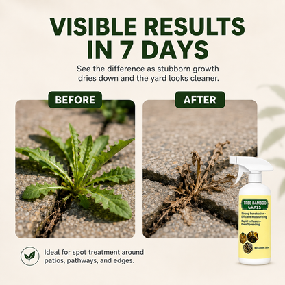 Fast-Acting Natural Weed & Grass Killer Spray