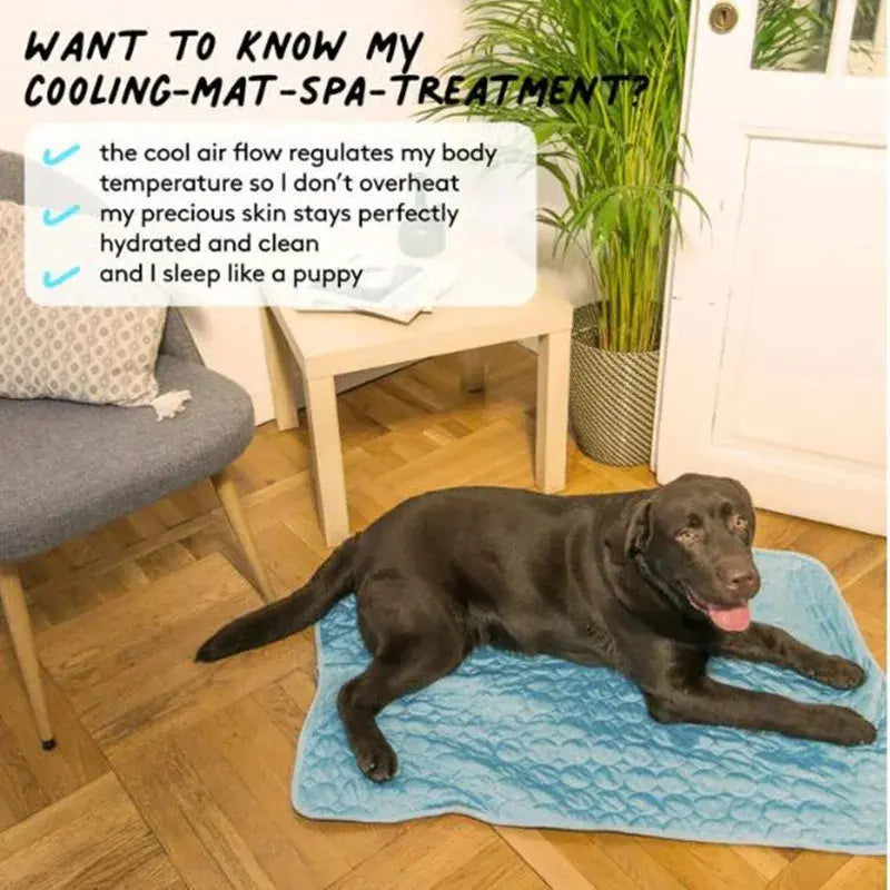 Cooling Pet Mat For Summer