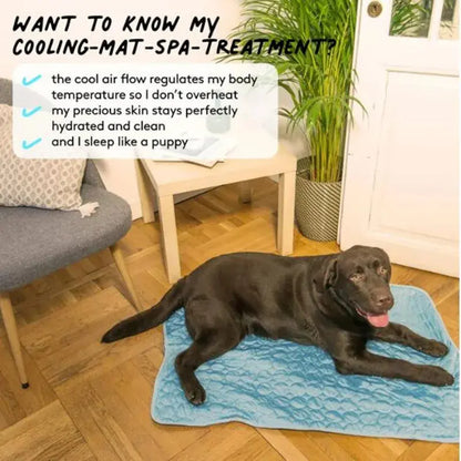 Cooling Pet Mat For Summer