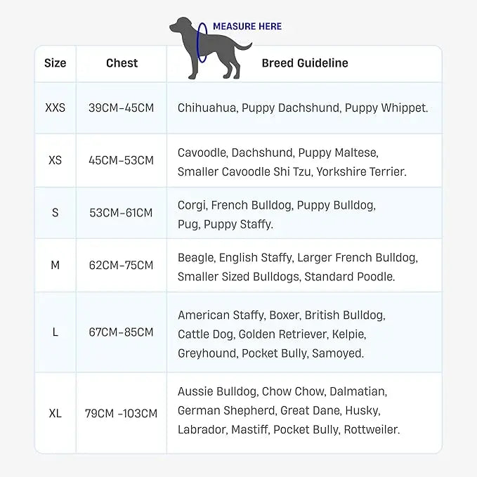 Adjustable No-Pull Dog Harness, Lightweight Comfort Harness for All Dogs