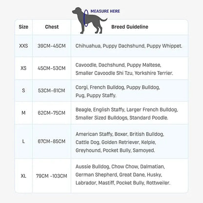 Adjustable No-Pull Dog Harness, Lightweight Comfort Harness for All Dogs