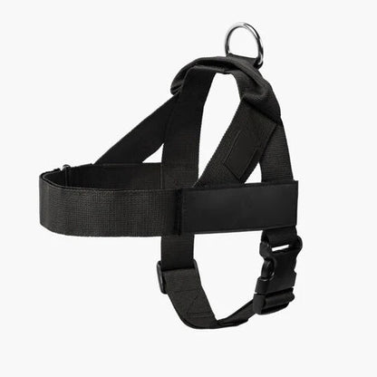 Adjustable No-Pull Dog Harness, Lightweight Comfort Harness for All Dogs