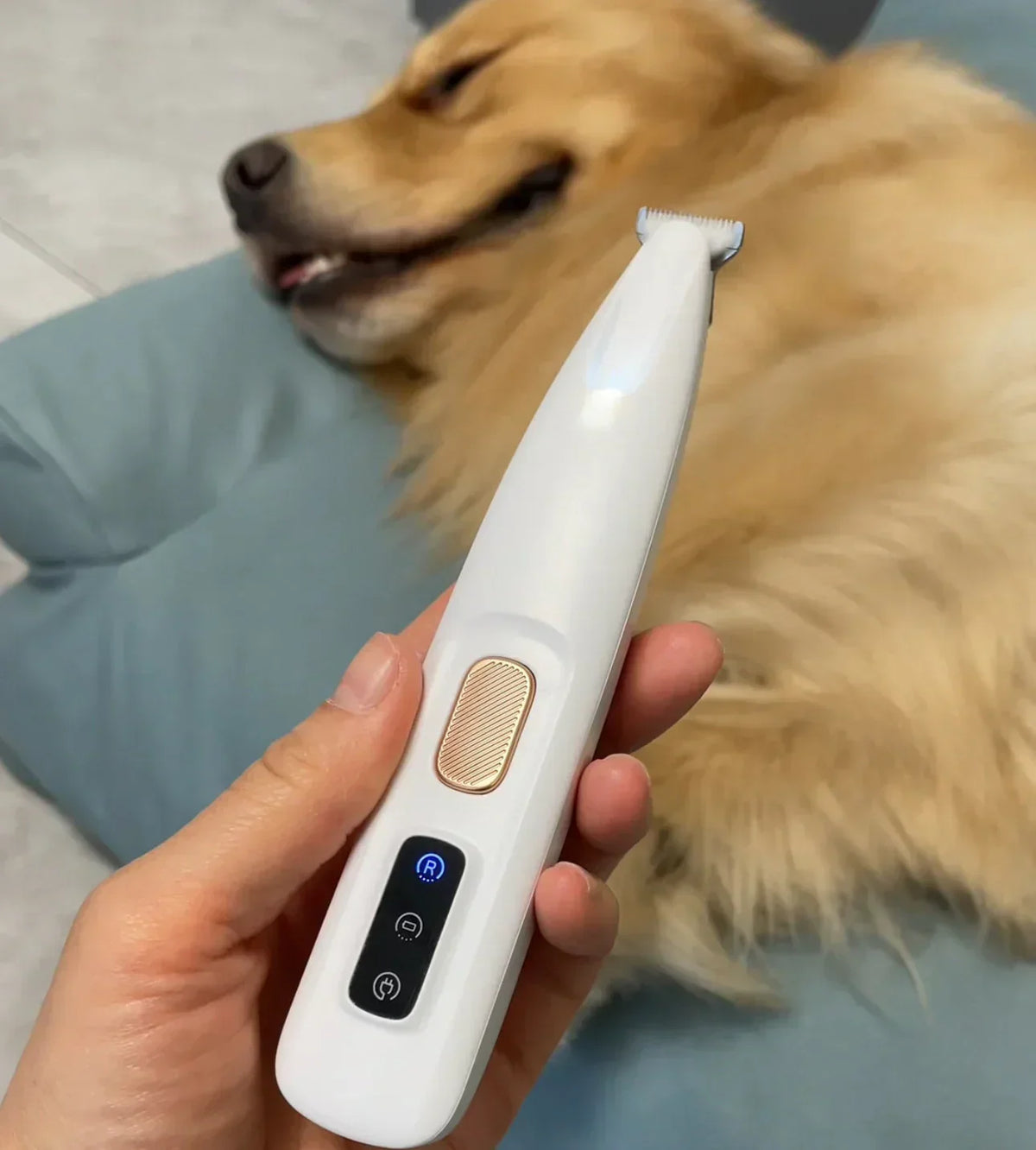 Precision Pet Trimmer – Safe Grooming for Paws, Eyes & Tail with LED Light
