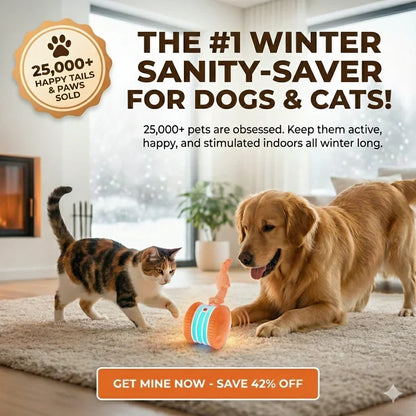 Pet Toy Wheels With Rope – Keep Your Pet Relaxed, Happy & Content for Cat & Dog