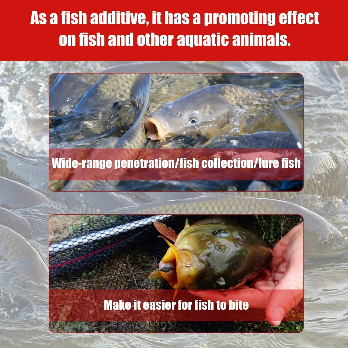 Angler's Secret Concentrated Red Worm Fishing Attractant – Draw More Fish, Faster Bites