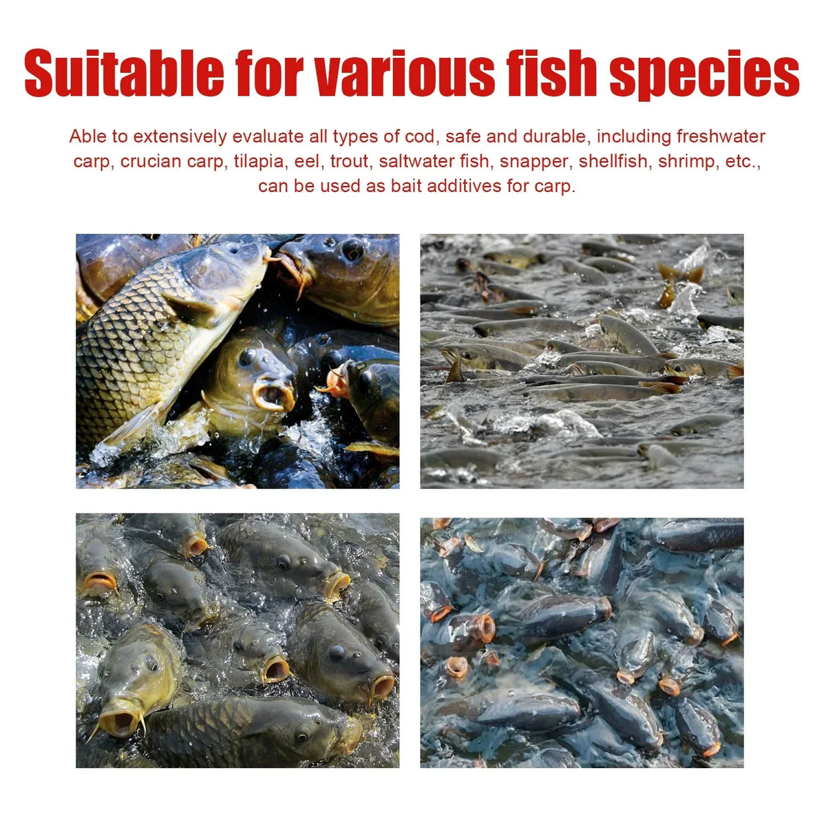 Angler's Secret Concentrated Red Worm Fishing Attractant – Draw More Fish, Faster Bites
