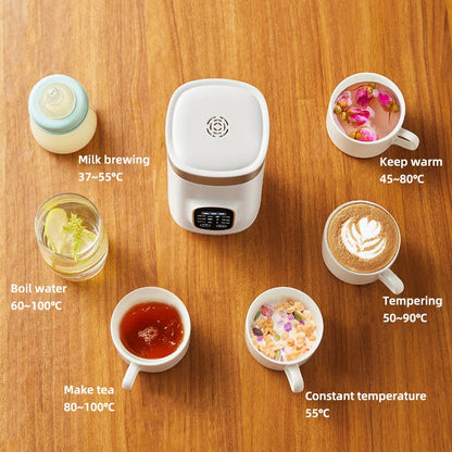 Electric Portable Kettle