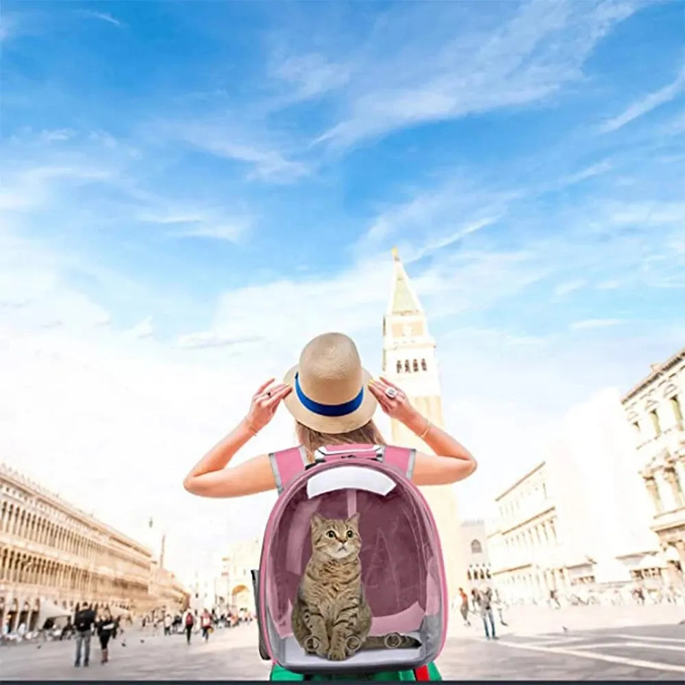 Pet Backpack Carrier