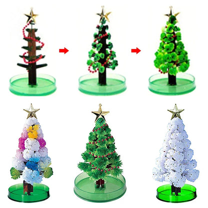 Magic Growing Christmas Tree