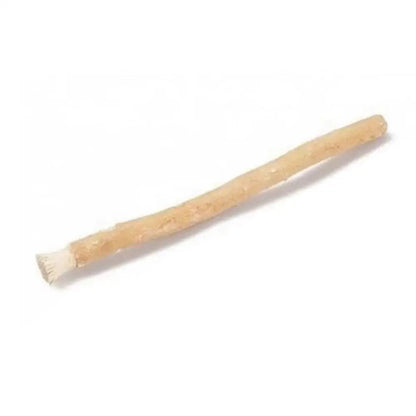 Organic Toothbrush