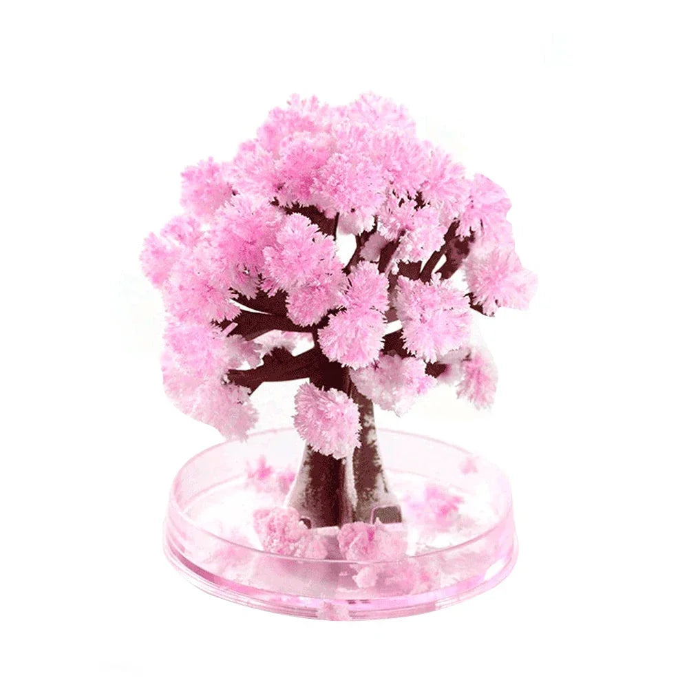 Magic Growing Christmas Tree