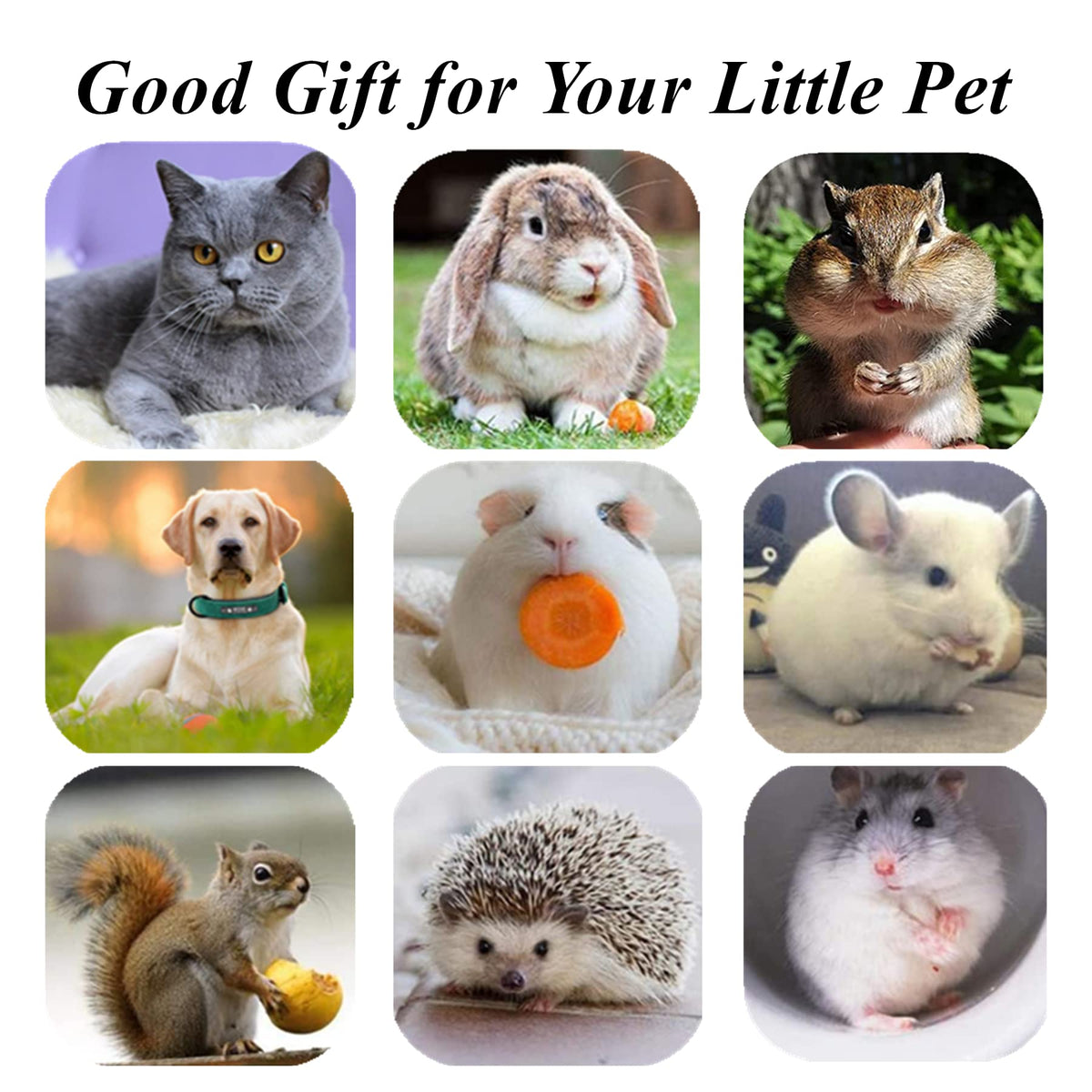 Natural Silvervine Cat Toy – Play, Relax & Dental Cleaning