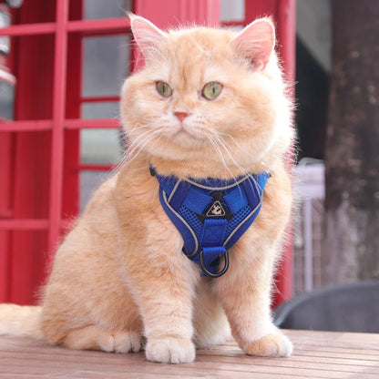 anti-escape cat harness | CATWALKS