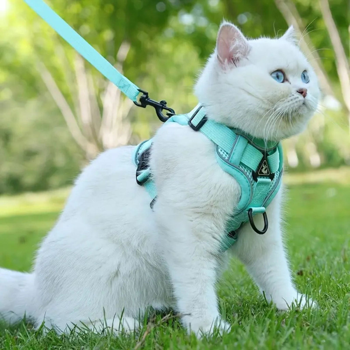 anti-escape cat harness | CATWALKS