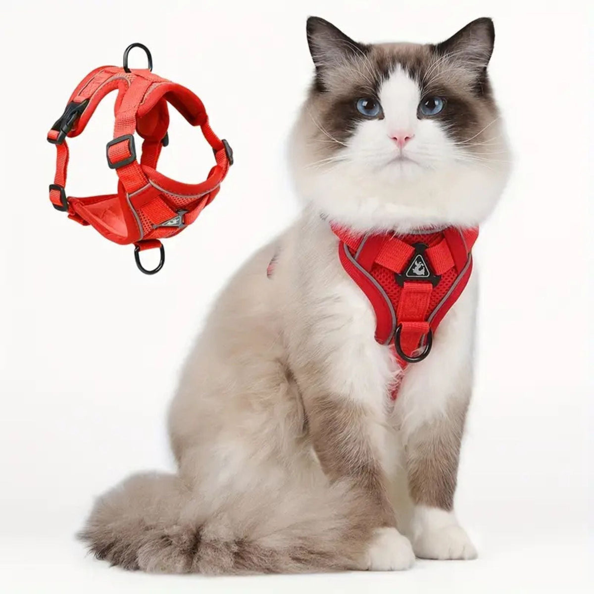 anti-escape cat harness | CATWALKS