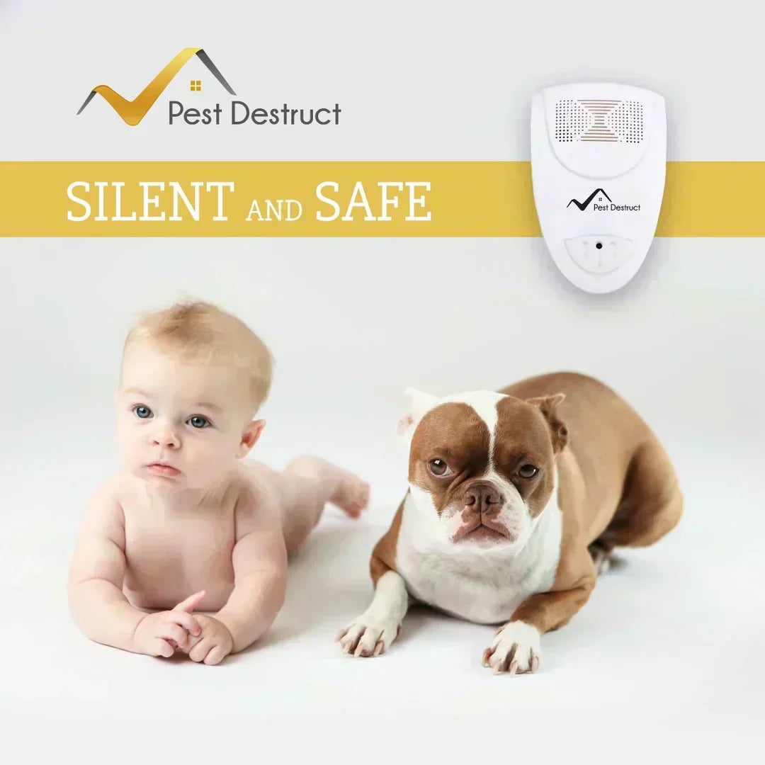 AstraShield Ultrasonic Bed Bug Repeller For Home Use
