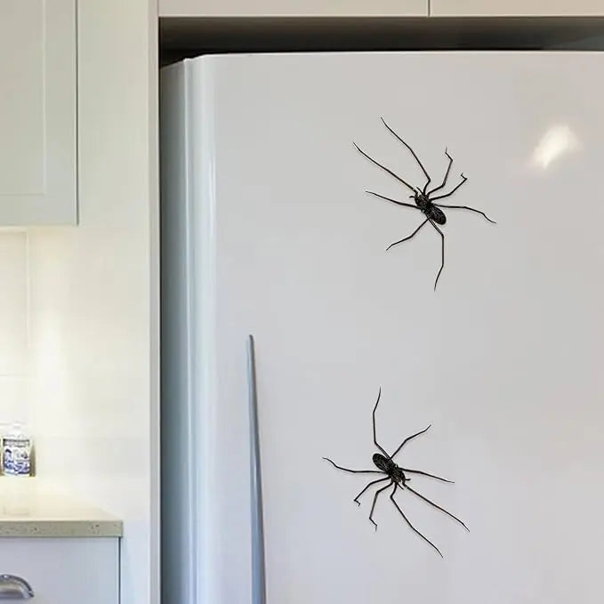 Spider Fridge MagnetRealistic Spider Magnets, for Refrigerator, Garage Door, or Car
