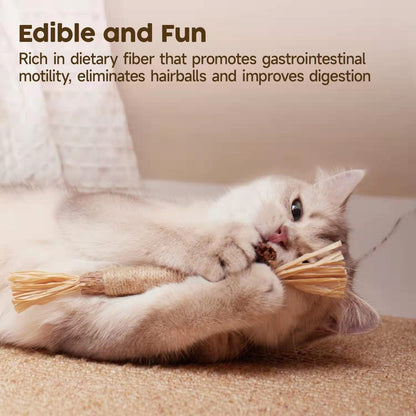 Natural Silvervine Cat Toy – Play, Relax & Dental Cleaning