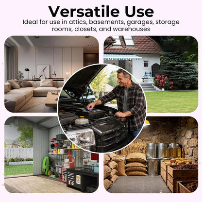 Rodent Defense Balls – Protect Furniture, Cabinets & Storage Areas