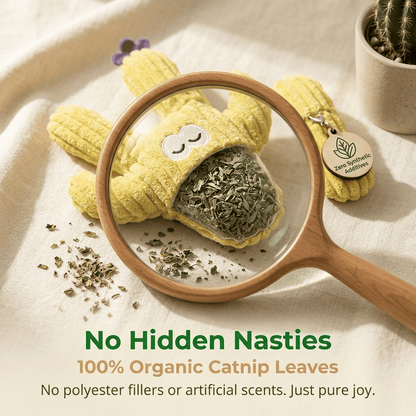 Last Day Promotion 49% OFF5pcHandmade Soft Cactus Kitten Chew Toys with Natural Catnip