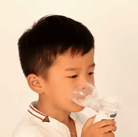 BreezeNova Portable Ultrasonic Nebulizer Rechargeable Battery For Home Or Travel