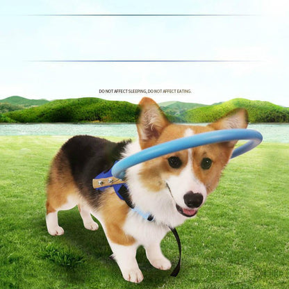 Blind Dog Guide Collar Harness for Safe Daily Walks