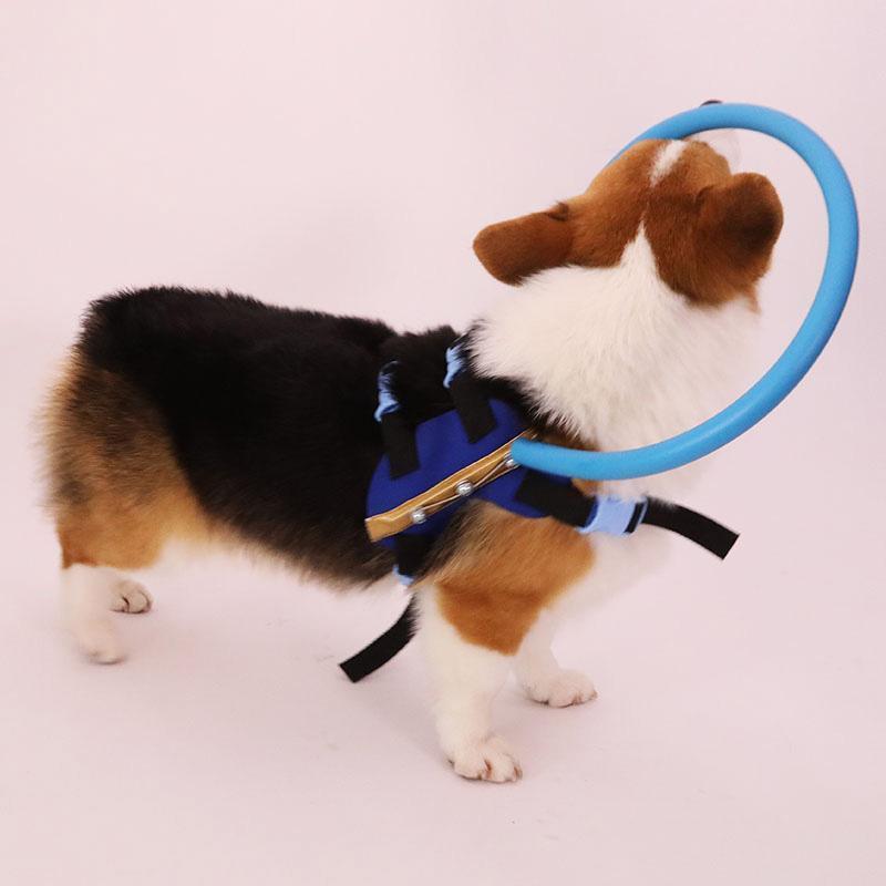 Blind Dog Guide Collar Harness for Safe Daily Walks