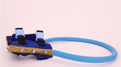 Blind Dog Guide Collar Harness for Safe Daily Walks