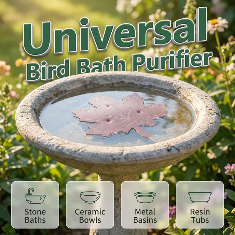 Buy 1 Get 1 FreeTime-Limited SpecialUniversal Fit Bird Bath Purifier