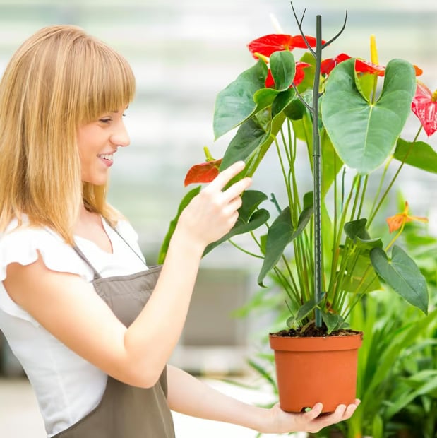 5 pack Stackable, Rot-Proof Plant Support