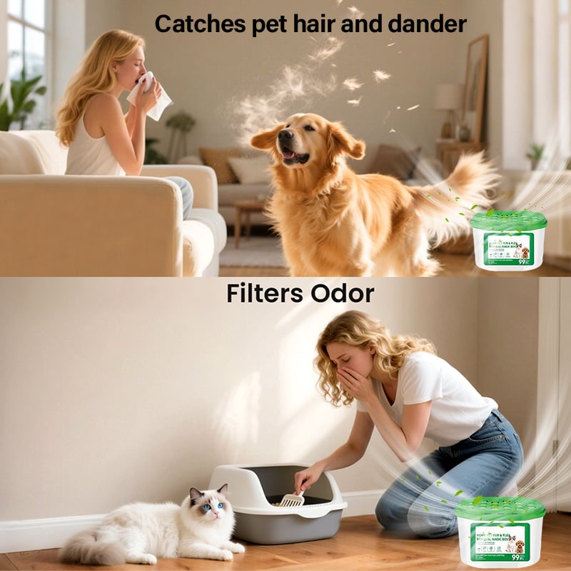 Home Pet Fur & Odor Removal Magic Box