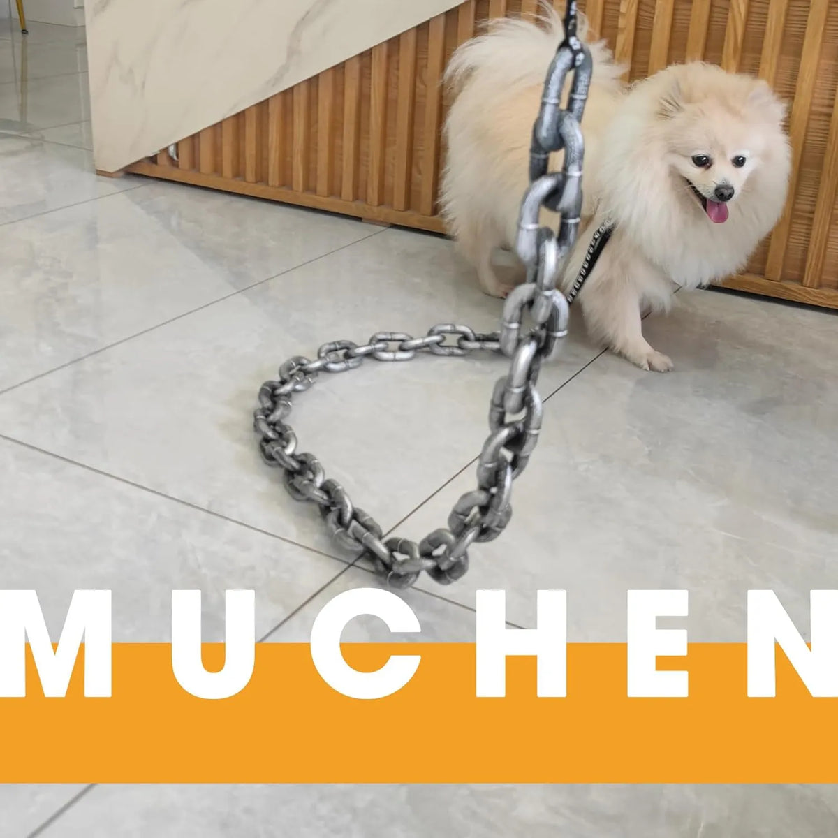 The Chain Paws - 2026 Funniest Pet Chain