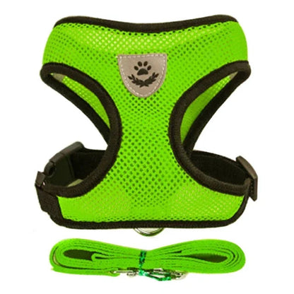 Cat and Dog Walking Harness and Leash Set