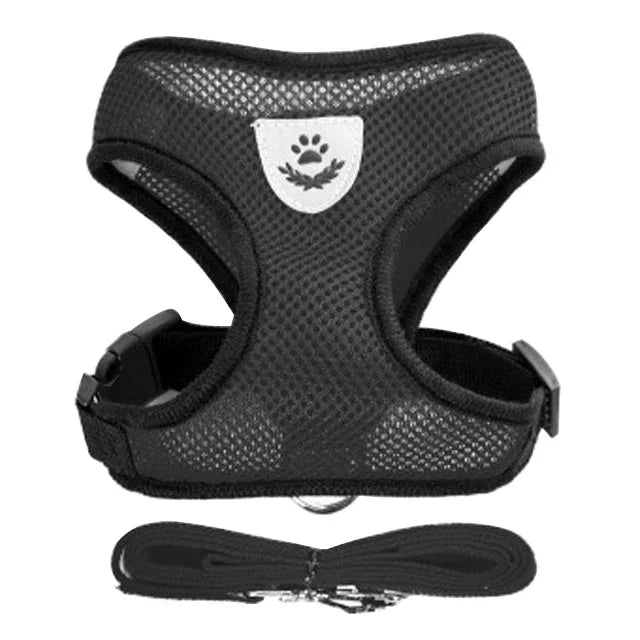 Cat and Dog Walking Harness and Leash Set