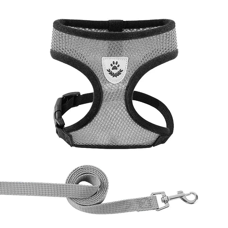 Cat and Dog Walking Harness and Leash Set