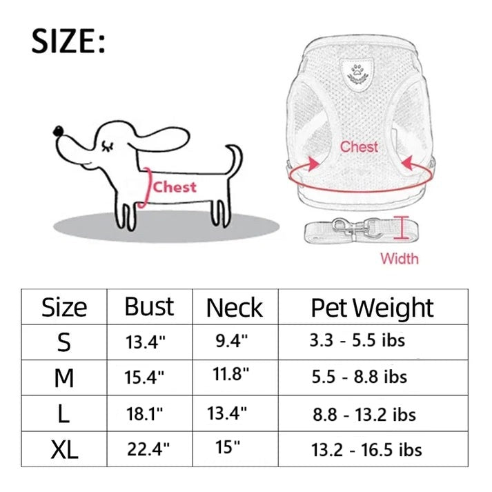 Cat and Dog Walking Harness and Leash Set