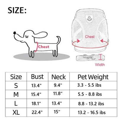 Cat and Dog Walking Harness and Leash Set