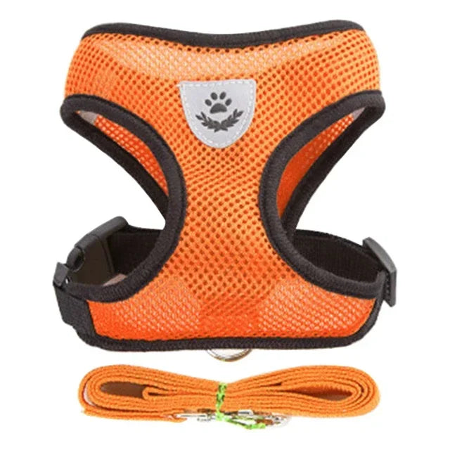 Cat and Dog Walking Harness and Leash Set