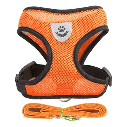 Cat and Dog Walking Harness and Leash Set