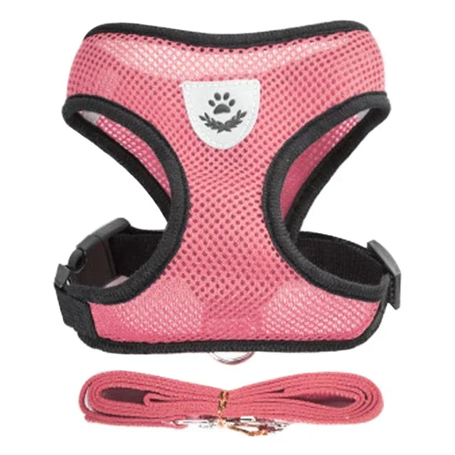 Cat and Dog Walking Harness and Leash Set