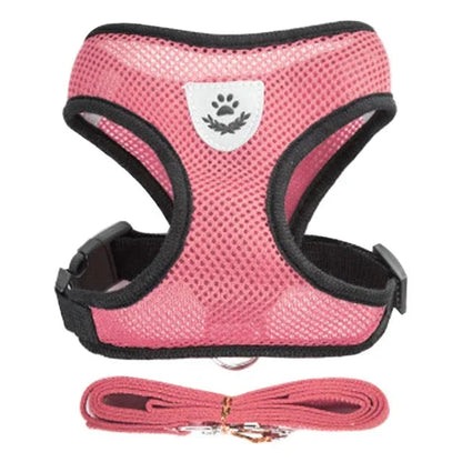 Cat and Dog Walking Harness and Leash Set