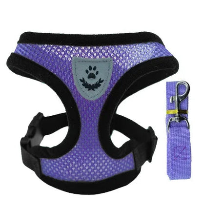 Cat and Dog Walking Harness and Leash Set